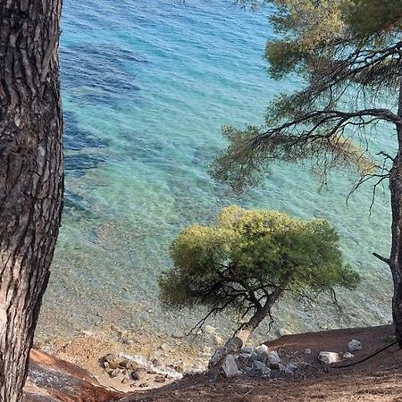 "Pine&Sea" Kastamoniti Beach Nikiti  Exterior foto