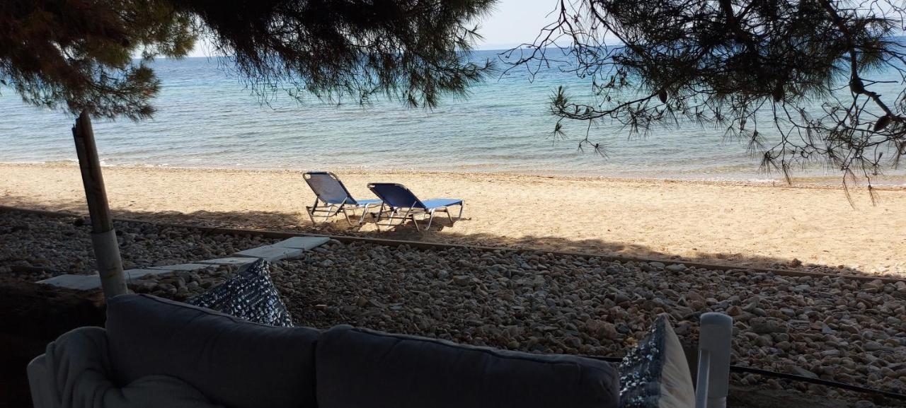 "Pine&Sea" Kastamoniti Beach Nikiti  Exterior foto