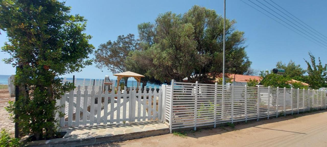 "Pine&Sea" Kastamoniti Beach Nikiti  Exterior foto