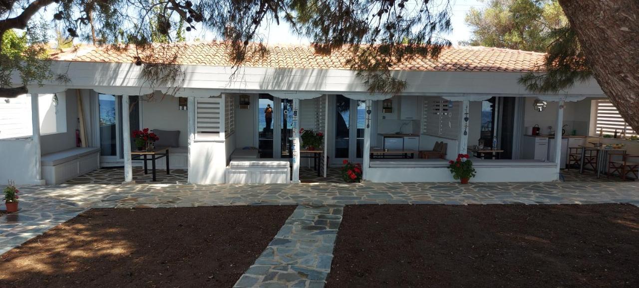 "Pine&Sea" Kastamoniti Beach Nikiti  Exterior foto