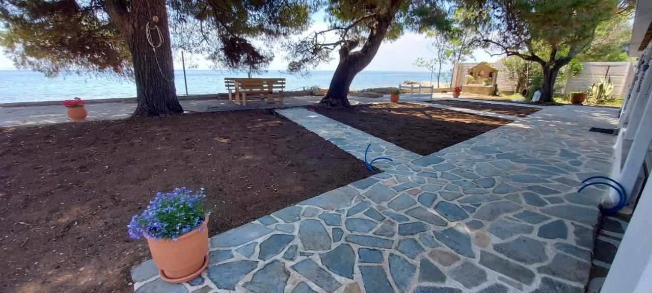 "Pine&Sea" Kastamoniti Beach Nikiti  Exterior foto