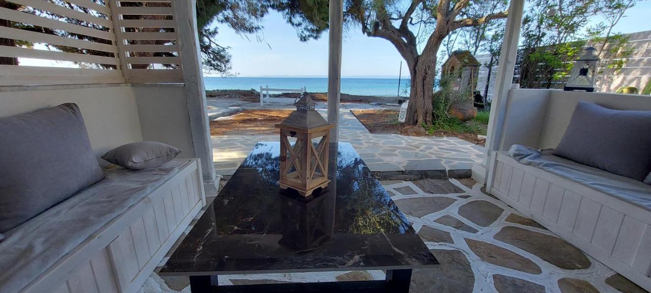 "Pine&Sea" Kastamoniti Beach Nikiti  Exterior foto