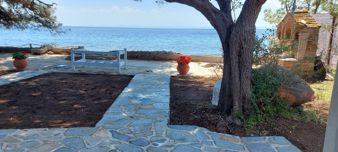 "Pine&Sea" Kastamoniti Beach Nikiti  Exterior foto