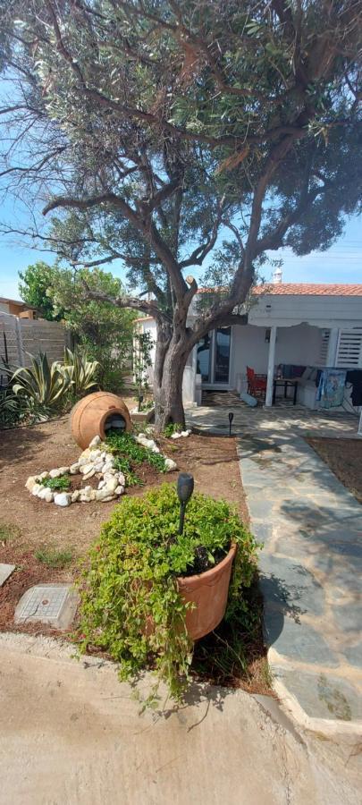 "Pine&Sea" Kastamoniti Beach Nikiti  Exterior foto