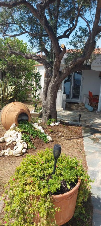 "Pine&Sea" Kastamoniti Beach Nikiti  Exterior foto